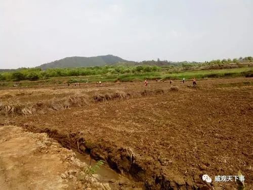 小户型|2021年颁布的农村土地四大禁令?！你知道是什么吗？