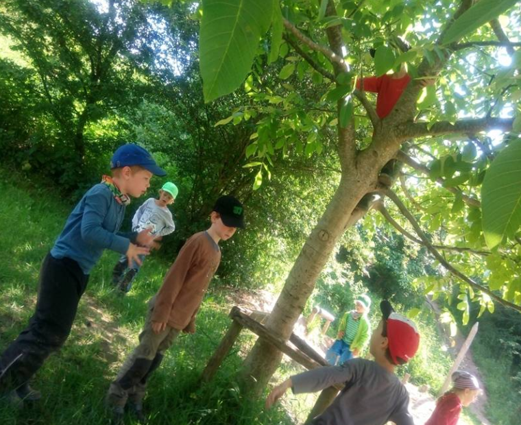 哑铃妈妈|德国人口那么少，为何能拿到近一半的诺贝尔奖？看幼儿园就明白了