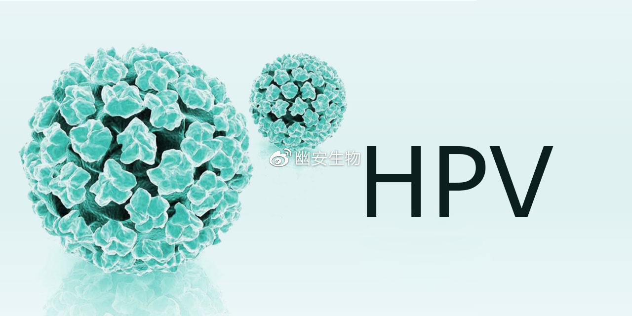 小安爱健康 如何消毒杀死环境中的 HPV ?