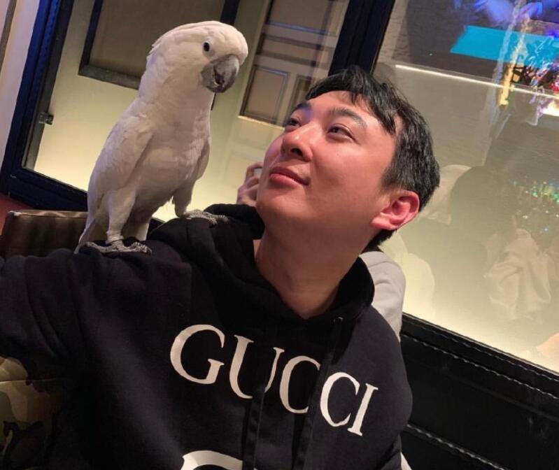 王思聪|王思聪“被迫营业”，转发自家产业广告，要继承亿万家产了？