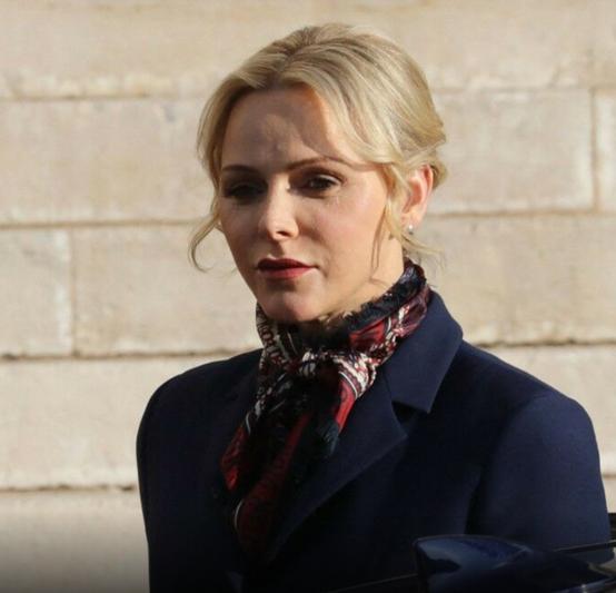 摩纳哥|摩纳哥王妃夏琳和俄罗斯亿万富翁传出绯闻,俩人早就认识