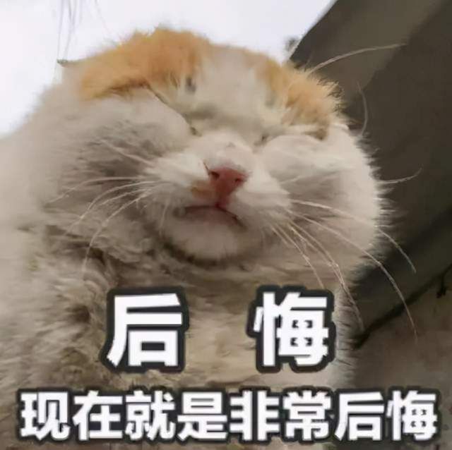 steam|年末最大狂欢！Epic超强撒币活动让Steam慌了，服务器被挤到炸裂