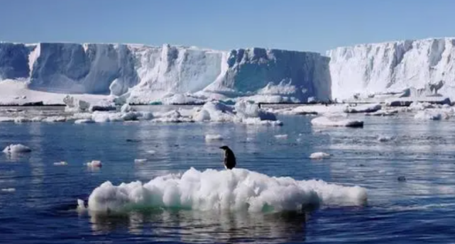 南极 2021地球到底怎么了？230家期刊联合警告：人类正面临不可逆灾难