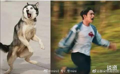 张彬彬|请景甜介绍张彬彬跟任国超认识