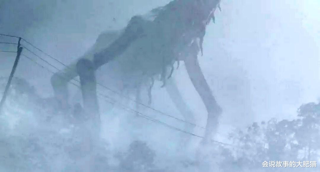 科学家 《迷雾》里压迫力极强的巨兽 它是地狱七君王之一：贝希摩斯