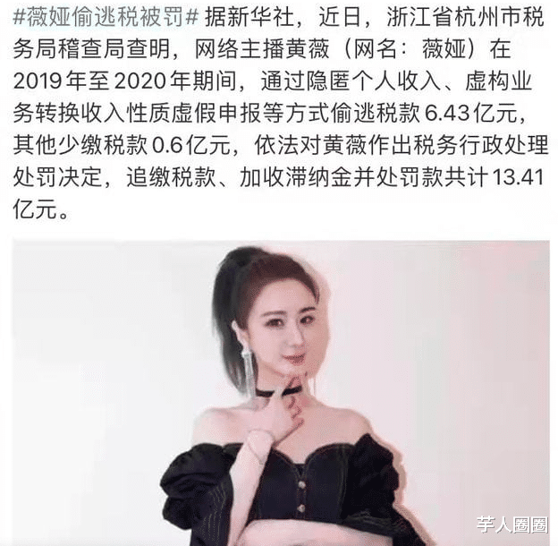 薇娅|?雪梨林珊珊薇娅偷逃税被罚，主播成“重灾区”，下一个会是谁？