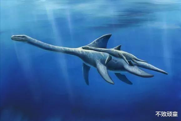 尼斯湖水怪 1933年后出现的“尼斯湖水怪”，真相到底是怎样的？