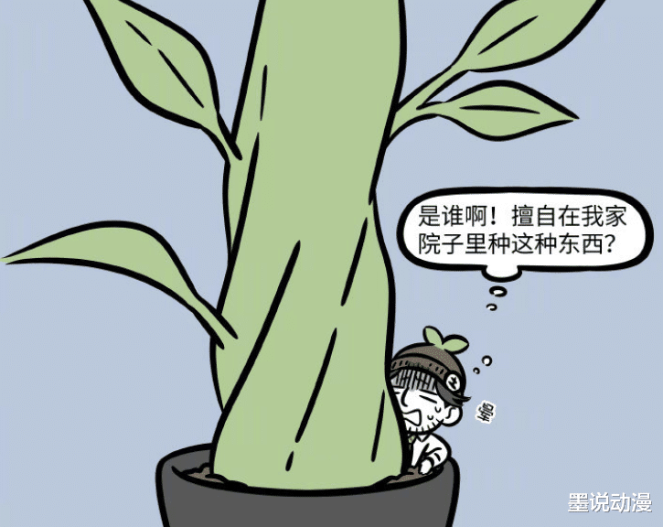 非人哉|非人哉：青龙做客观音家，土地公被带走，消防员救了他