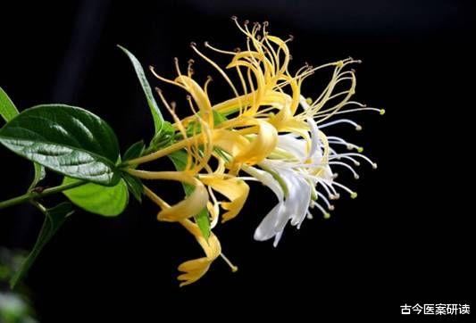 甲状腺疾病|多家医院呼吁：停止食用这1调料，它正在“侵蚀”你的甲状腺