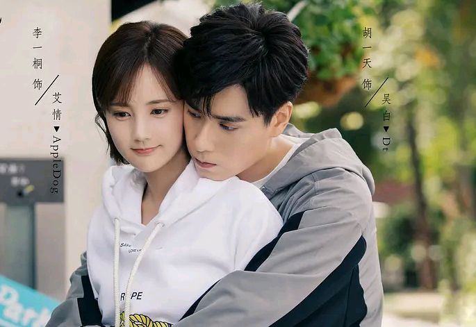 胡一天|2021公认“零差评”的5部高甜剧，每一部剧情都甜度超标