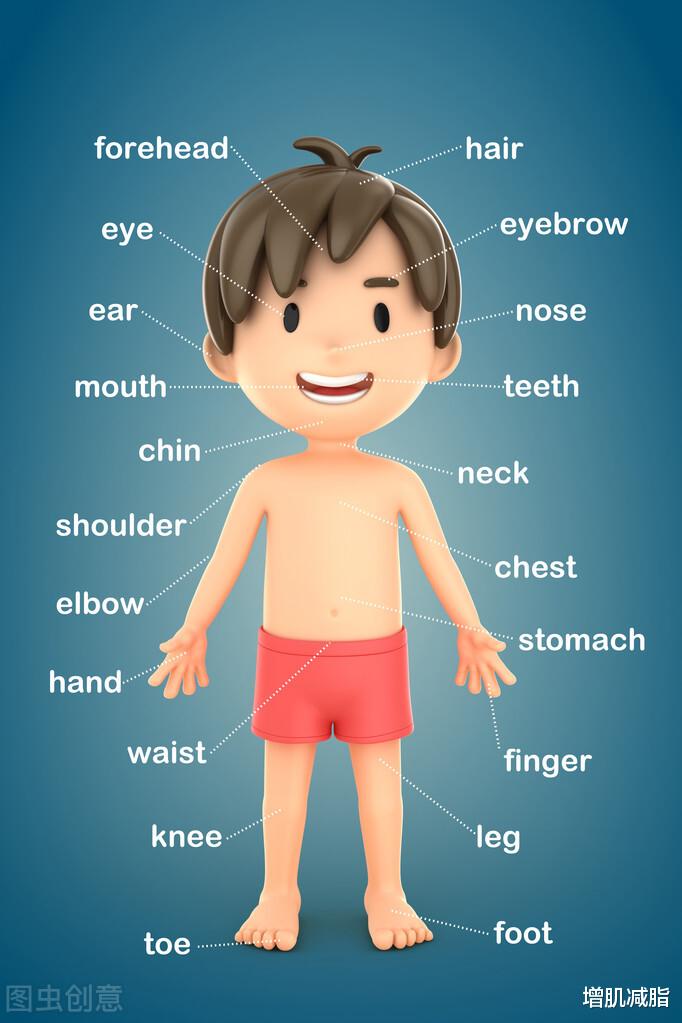 |坚持4个自律行为，让你拥有年轻、苗条的身体，保持冻龄颜值！