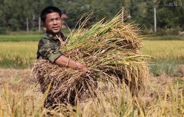 温州|“退休金”政策回报公粮农民？2021年起，国家帮养老，等着享福吧