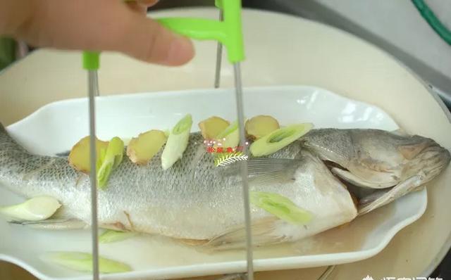 纷纷谈综合|什么鱼用来清蒸合适？