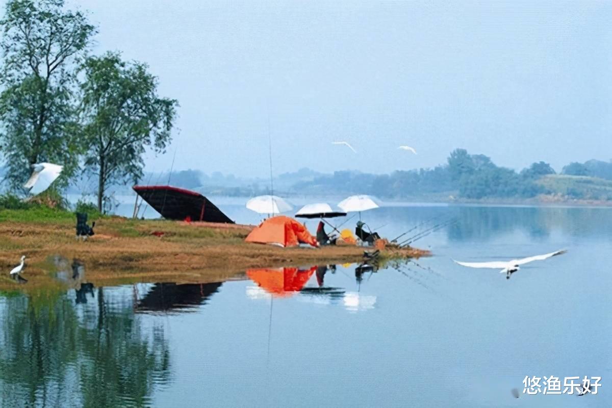 饵料|炎热的夏季偶遇凉爽天，适合出钓吗？看完此文你就明白了！