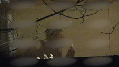 殷桃|前夫入狱十年，恋上李小冉男友郝蕾前夫，41殷桃至今未婚