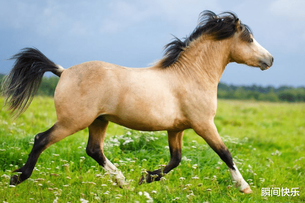 辅警|9月29号后,好事盈门,3生肖天赐鸿运,闯出名堂,生意兴隆