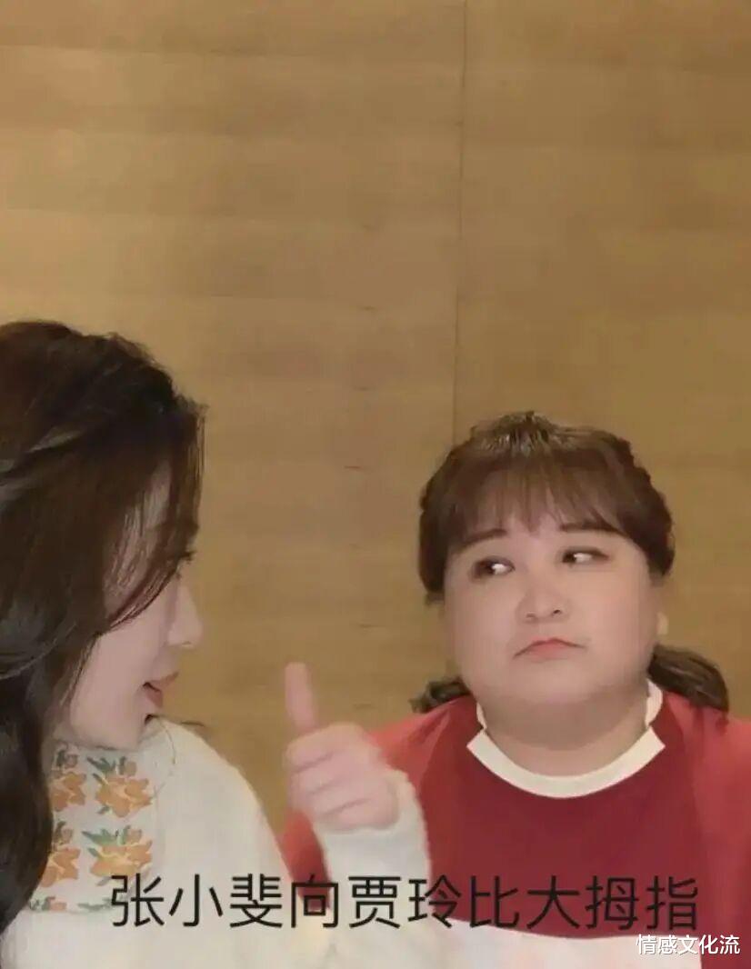 贾玲|贾玲是假导演请枪手？《李焕英》片尾曲讲出轨？她回应：让你妈跳