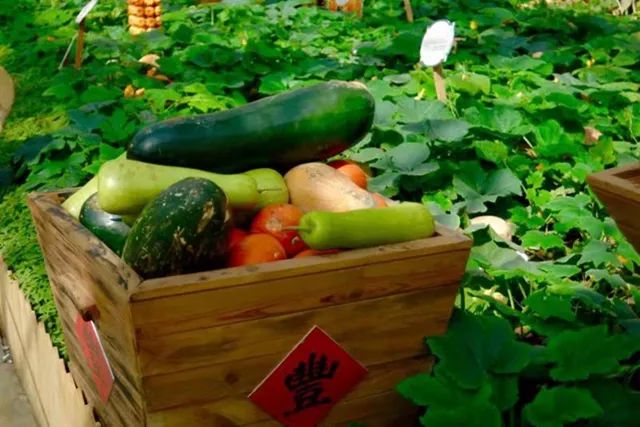 钟南山|?钟南山院士的养生感悟,特别强调了这五个方面!