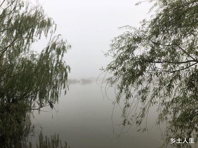 明年是虎年,老人说:明年是“相火司天,小逆之年”,是啥意思?