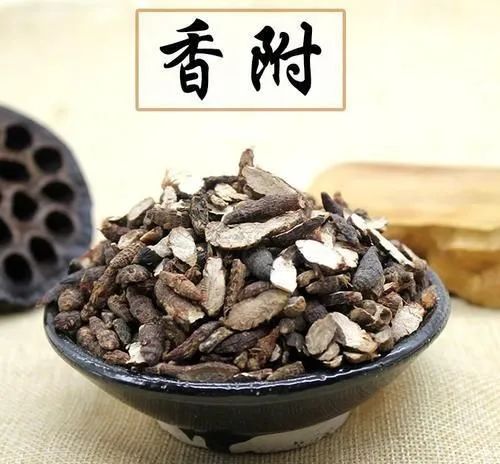 感冒|气郁体质这样调!疏肝理气、远离抑郁