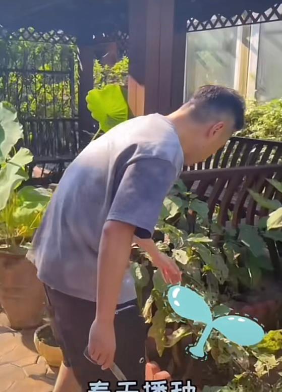 奶球妈咪聊|47岁黄征在自家花园里干农活,穿拖鞋在泥地走,庭院一角曝光豪宅