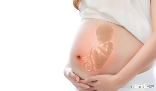 周兰育儿日志|十月怀胎忠告：如果不想让胎宝受罪，孕妈请戒掉这6种坏习惯