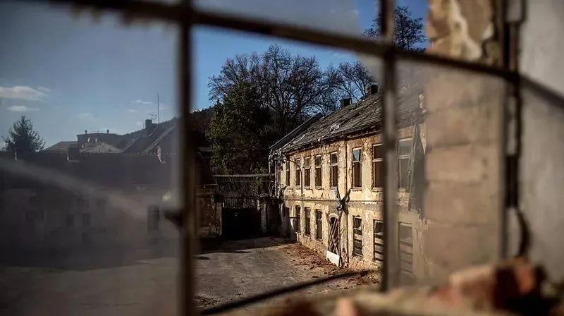 假如人类在地球上突然消失,将会发生些什么?地球的未来会怎样?