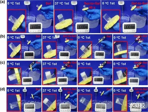 生物降解 贺超良/陈学思院士：快速热可逆和可生物降解的多肽水凝胶