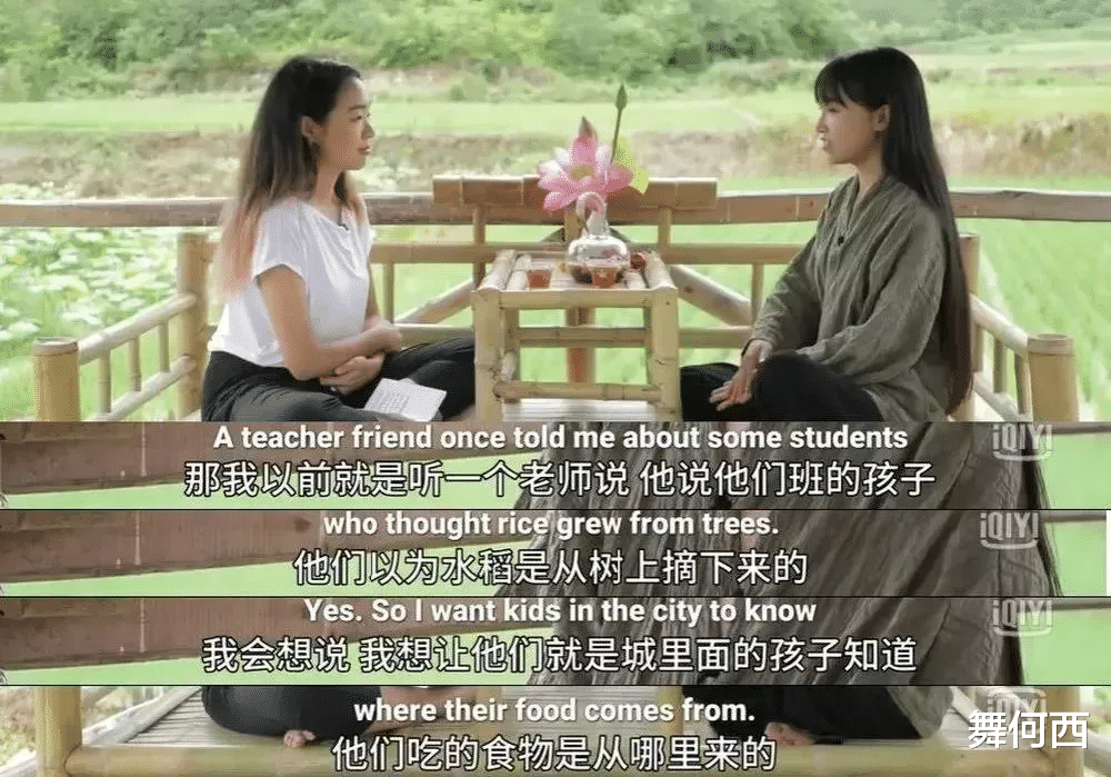 李子柒|李子柒：外国人眼中的中国公主，中国人眼中的污点网红
