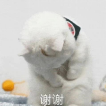 护肤品 拒绝盲目跟风！5款高性价比护肤品安利，吃土也要入！养出牛奶肌