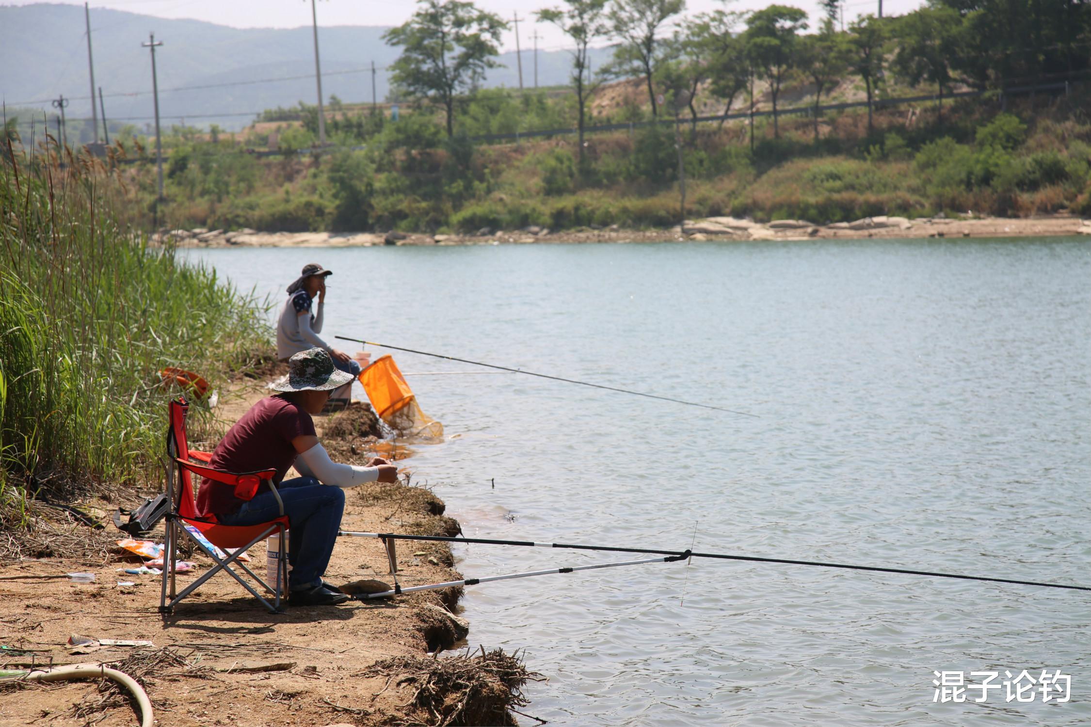 蜂蜜|千篇一律的“新手钓技”看够了?咱今天聊点干货