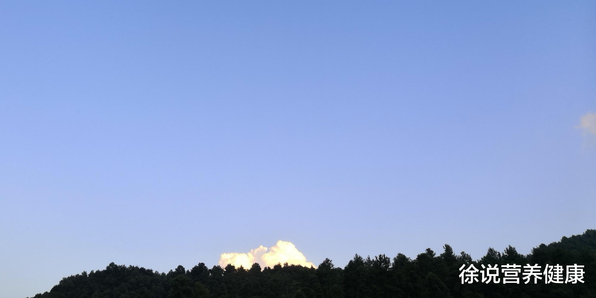 徐说营养健康|清朝那些事之名臣鳌拜