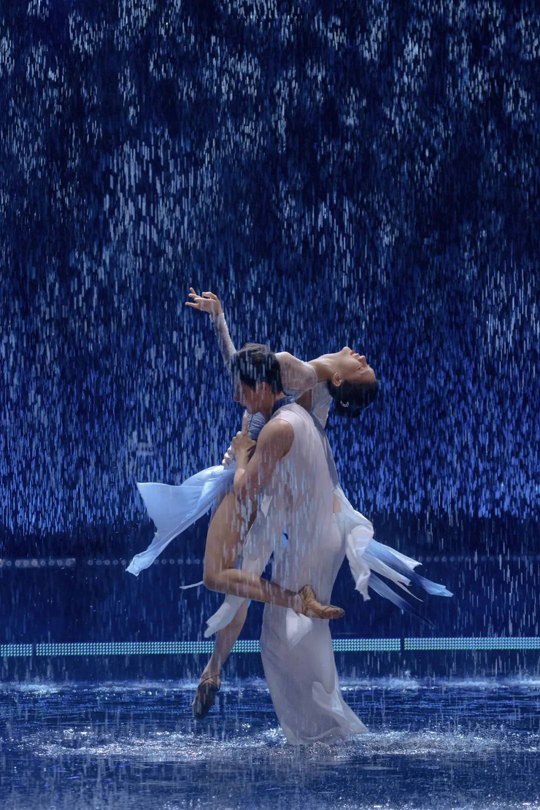 金晨|“金晨、王子异官宣了？！”