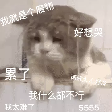 五华|留学生毕业前夕，如何提升就业竞争力？