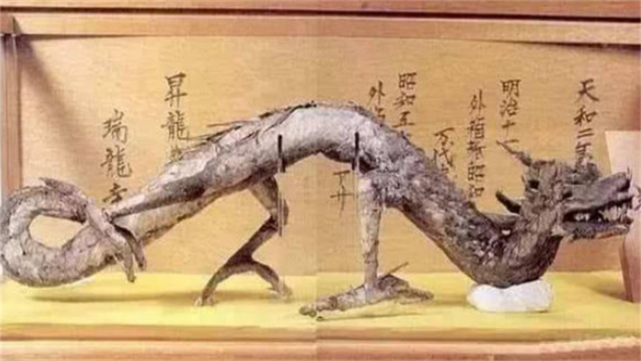 |中国境内的两条“龙”：一条收藏于日本博物馆，另一条已2亿多岁