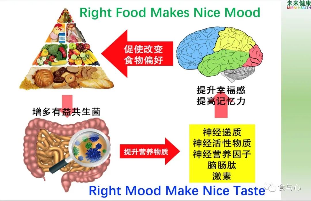 饮食|你在为谁吃饭?5—饮食不仅影响人的外貌,还影响人的心理和行为