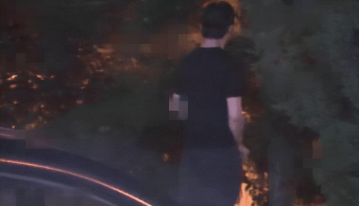 追寻星座的世界 人民日报点名批评！李云迪嫖娼黑料被扒，谁是深渊幕后推手？