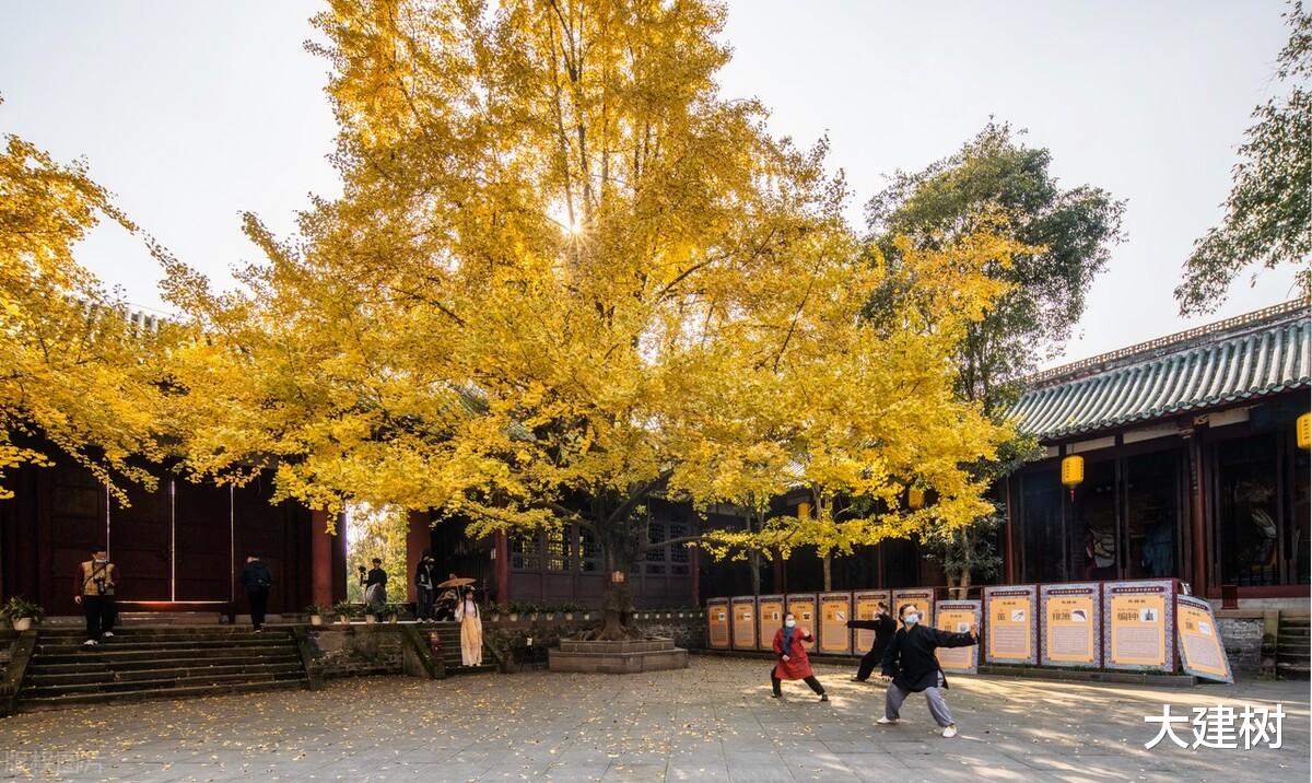 楼市|成都楼市熬过寒冬？凛冬才刚刚开始，松绑几乎不可能，平稳是常态