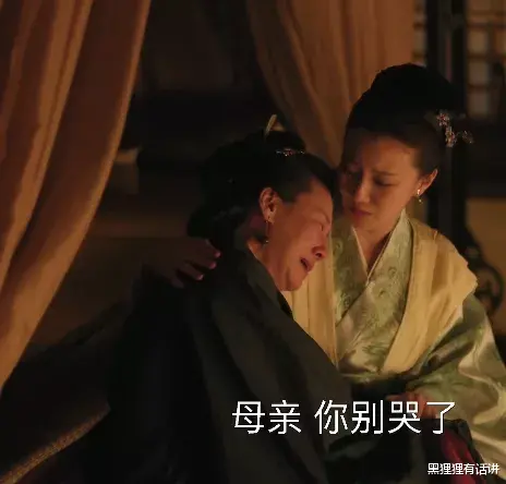 知否知否应是绿肥红瘦|知否:王若弗的日记!我的前半生又蠢又傻啊!