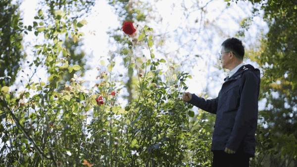 天津市|天津教授造神秘住宅：全年不花一分钱水电费，中国首例