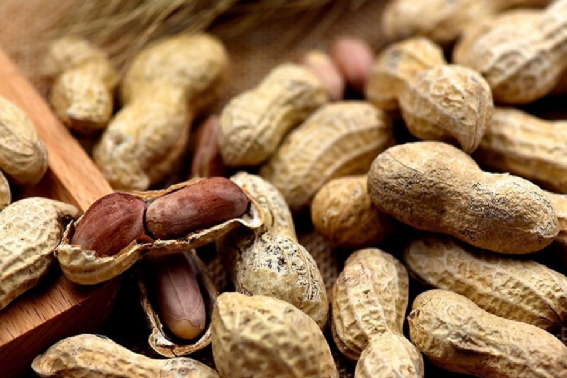 甲状腺|常喝小米粥能养甲状腺?医生:若想呵护甲功,2种“粗粮”要少吃