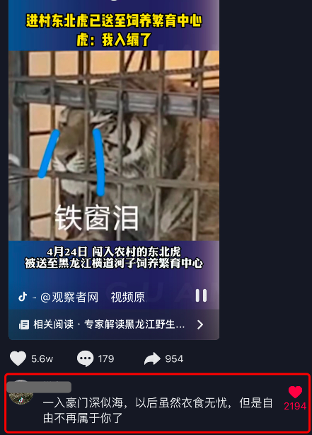 太乙真气 进村东北虎的萌爪一拍车窗破碎，老虎一掌有1000公斤力，武松打虎是假的还是有科学依据？