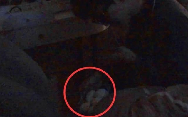 陈伟霆|宋妍霏私自进陈伟霆卧室，谁注意他床头放的啥？摄影师来不及打码