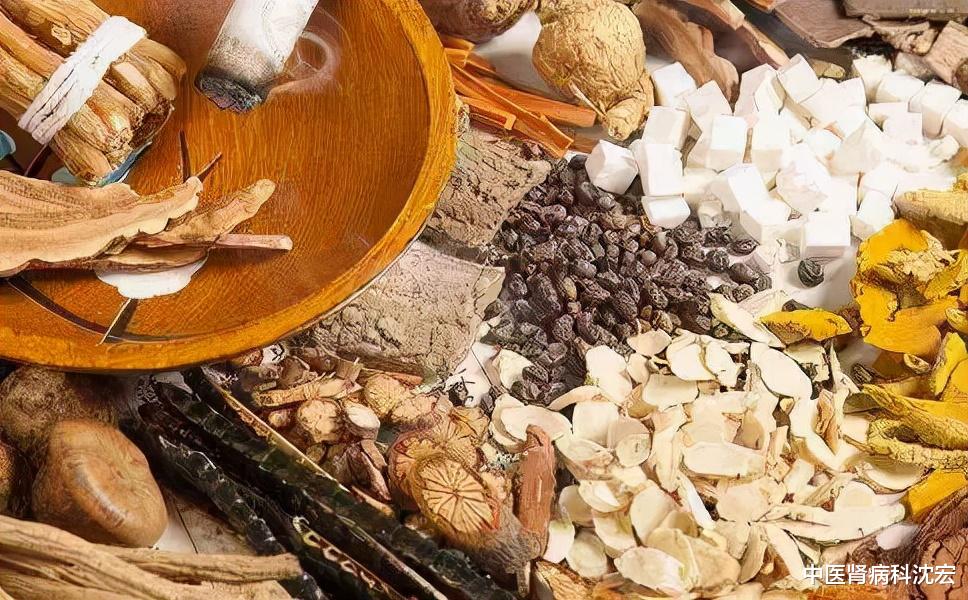 衰老|肝火旺盛？解读中药—龙胆泻肝汤 助你清肝胆，利湿热