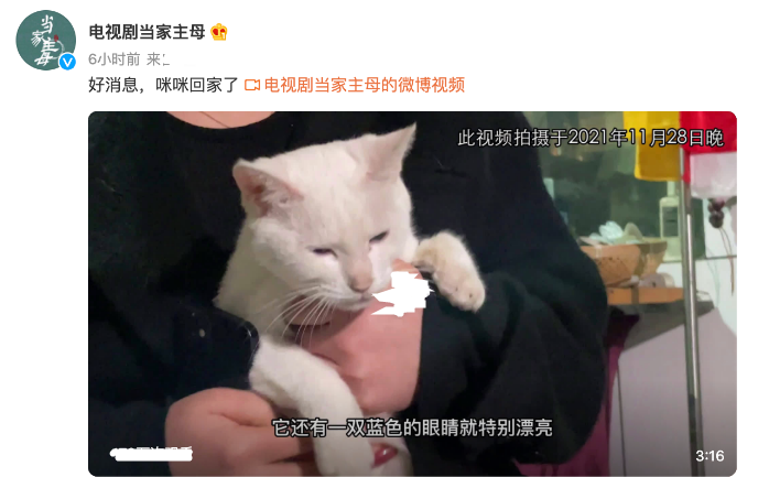 王一博|《当家主母》评分跌到2.9分，超6万人打一星差评，剧组表示已报案