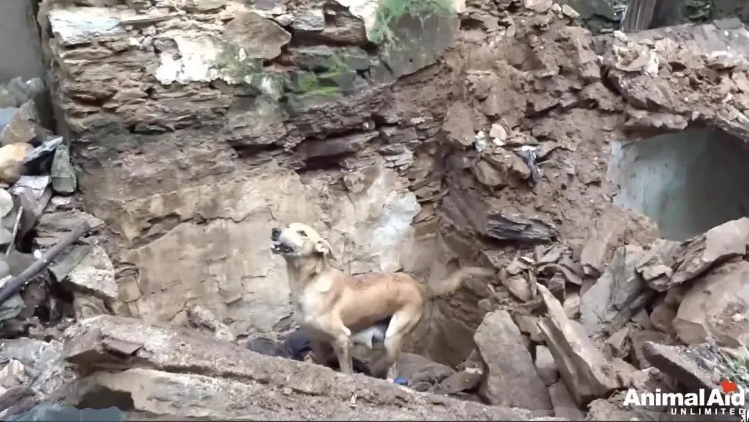 吴磊|吴磊和她的私照曝光，却意外揭露了她的生存现状