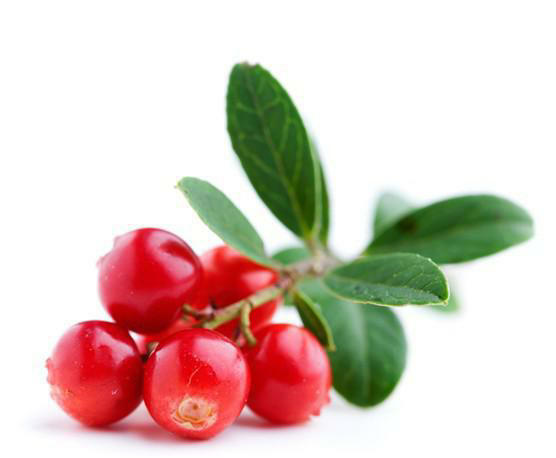 水果|水果营养价值排行（上）