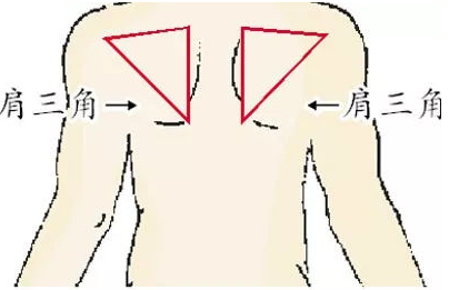 阿飞来说说|神秘的“人体三角”能决定生死，养起来后，疾病难扰！