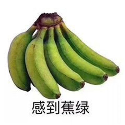 桉月|表情包:我真的不能再喝了