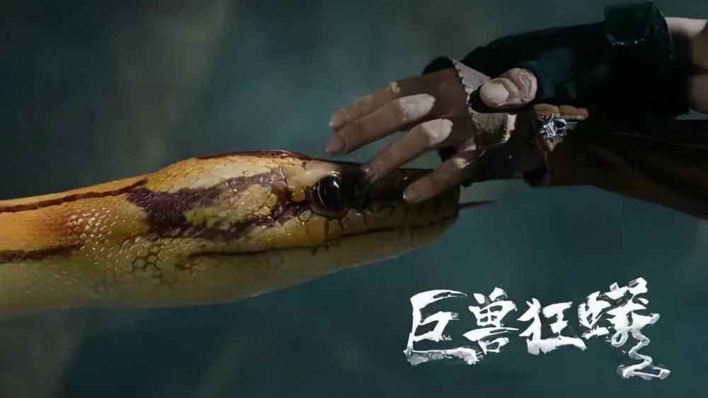 苏灿|网大又迎来一部“烂片”，上映5天仅125万票房，剧情更是胡编乱造